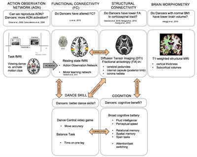 The Dancing Brain: Structural and Functional Signatures of Expert Dance Training